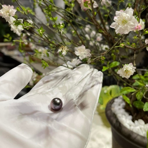 Gen Z Mặc Áo Dài Tết: Ngọc Trai Trở Lại Theo Cách Mới