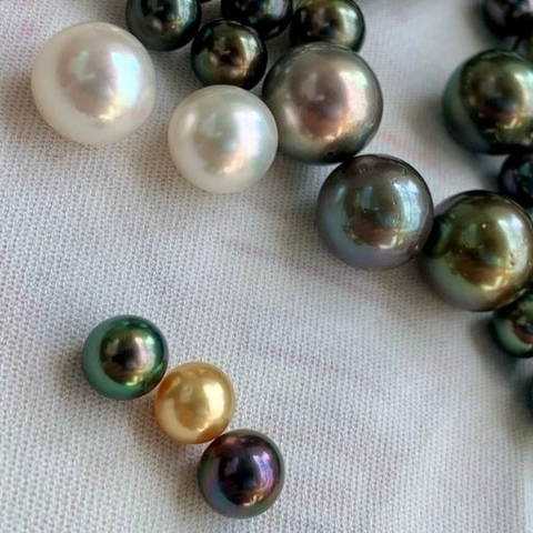 Sự Khác Biệt Giữa Ngọc Trai Nước Ngọt Và Ngọc Trai Biển