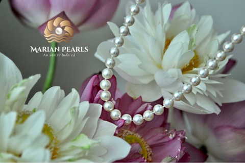 Chuỗi Ngọc Trai Akoya - Sắc Hoa Anh Đào