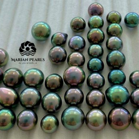 Sắc Màu Và Hình Dáng Điển Hình Của Ngọc Trai Đen Tahiti