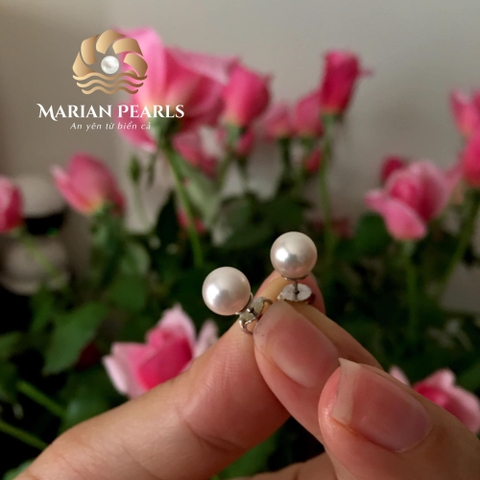 Bông Tai Nụ Ngọc Trai Biển Akoya