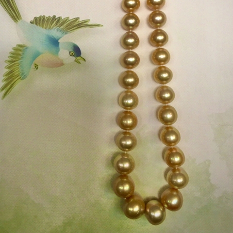 Ngọc Trai Southsea MAP-000026