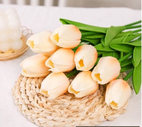 Hoa Tuylip - VÀNG.