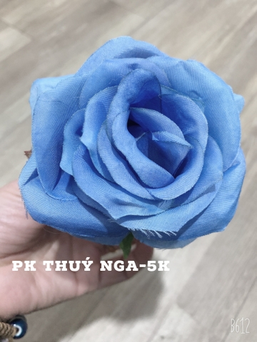 Hoa hồng-xanh dương đậm.