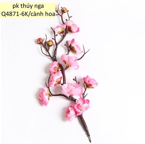 CAM-Cành đào hồng