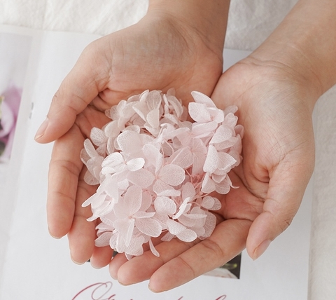 Hoa khô cẩm tú cầu-trắng (10gam).