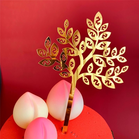 Set 10 mica cây tiền.