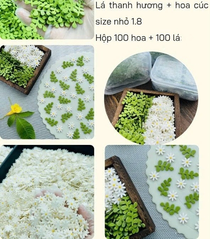 Hộp mix 100 lá thanh hương và 100 hoa cúc (gum đường) size 1.8cm.