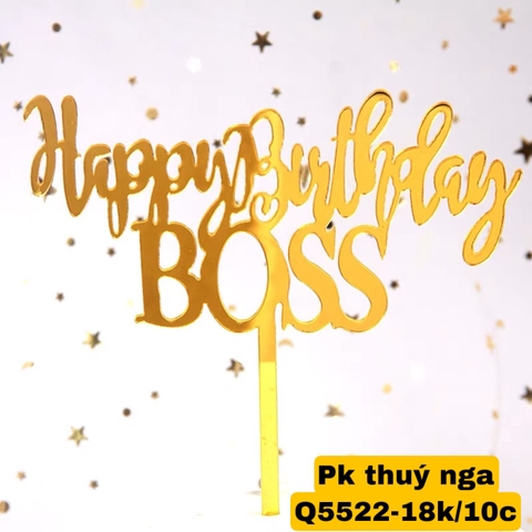 Set 10 mica HPBD BOSS.