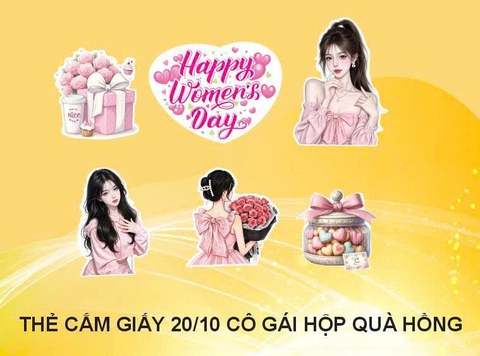 10 set giấy Women's day - cô gái hộp quà hồng CT.