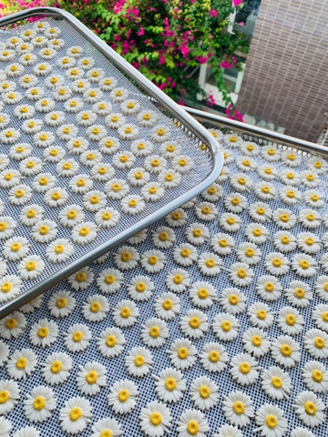 Hộp 100 bông HOA CÚC HỌA MI kẹo đường size 2.6cm -TRẮNG.