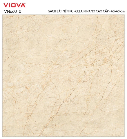 GẠCH LÁT VIOVA VN 66010