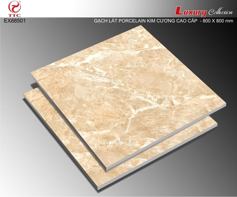 GẠCH LÁT TTC - LUXURY EX 88501