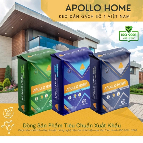 Keo dán gạch APOLLO HOME