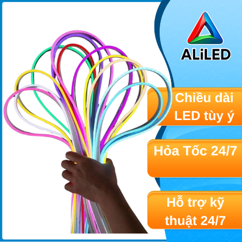 Đèn Led Neon điện 12V cuộn 5m chống nước không bị đốm