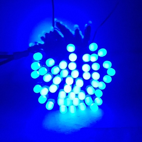 Led ruồi liền dây IPY 5V màu xanh dương