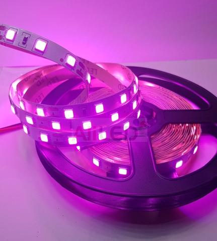 Cuộn dán 5054 12V không phủ keo đủ màu