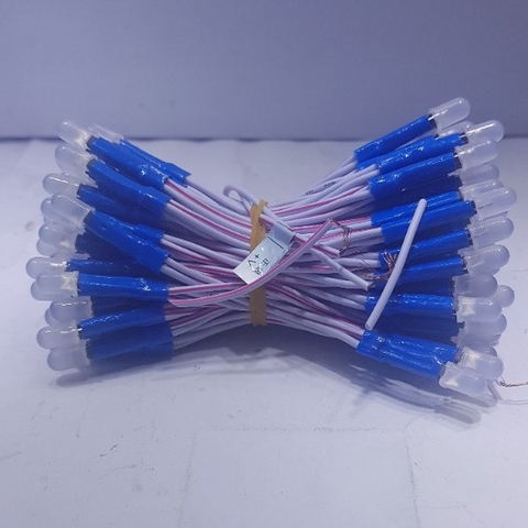 Led ruồi liền dây IPY 5V màu xanh dương