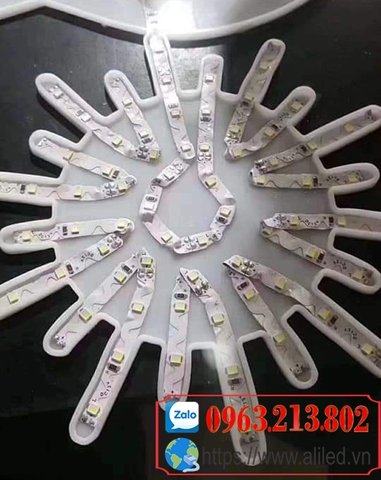 led zic zac 2835 điện 12V cuộn 10m