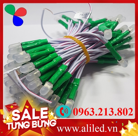 Led ruồi liền dây IPY 5V màu xanh lá