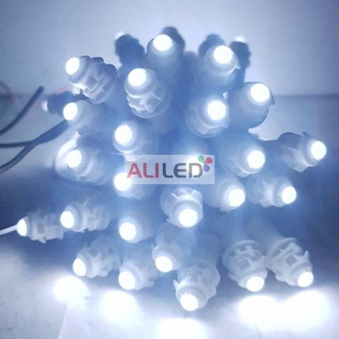 Led đúc F5/9mm 12V vỏ nhựa màu trắng