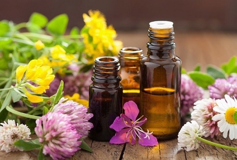 Sỉ lẻ tinh dầu thiên nhiên uy tín