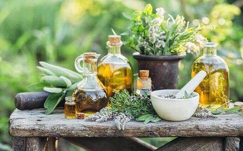 Những loại tinh dầu tốt cho sức khỏe