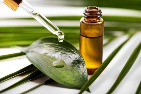 Các loại tinh dầu an thần trong phòng ngủ