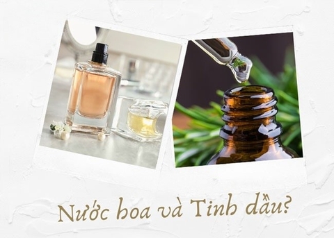 Có nên sử dụng tinh dầu sả treo xe ô tô không ?