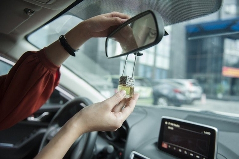 Các loại tinh dầu thường xử dụng trên oto an toàn dễ sử dụng