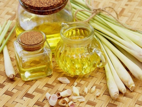 Tinh dầu sả xông phòng