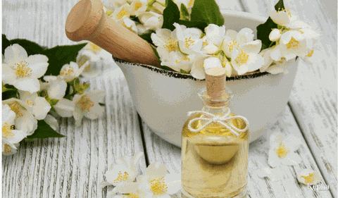Sử dụng tinh dầu trị Covid 19 thực sự có đúng không ???