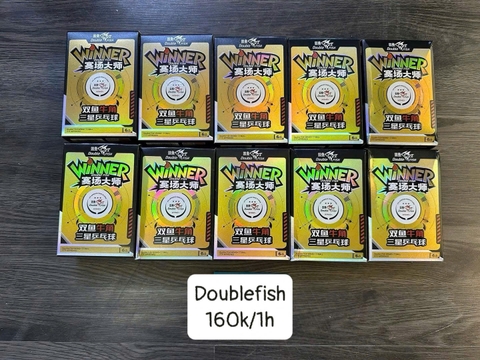 Bóng bàn thi đấu Double Fish 2026