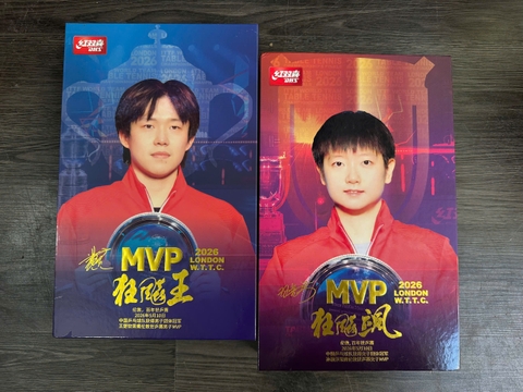 Cốt vợt DHS MVP S/Q