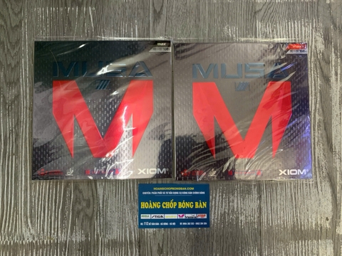 Xiom Musa III
