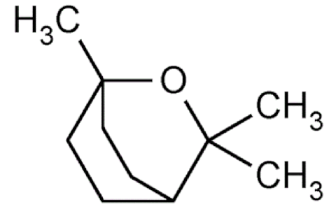 Eucalyptol là chất gì? Có mặt ở đâu?  Công dụng và các lưu ý khi sử dụng Eucalyptol