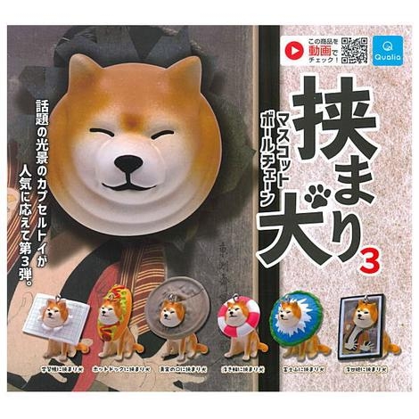 Đồ chơi gacha gashapon HASAMARI SHIBA 03 APRIL20