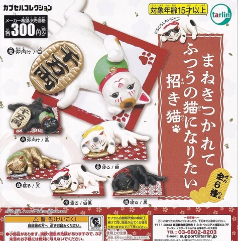 Đồ choi gacha gashapon  mô hình mèo phú quý May 23