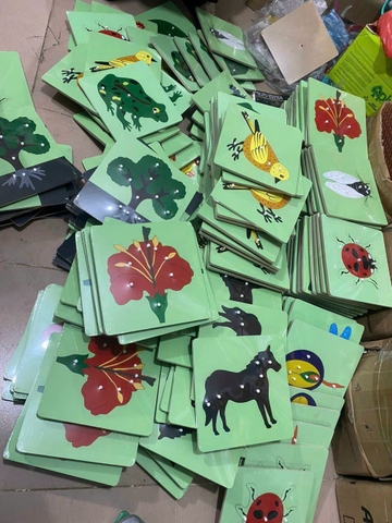 Giáo cụ Montessori - Tranh ghép sinh học
