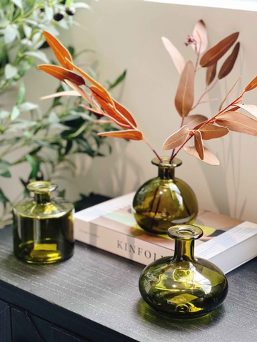 Lọ thủy tinh rêu