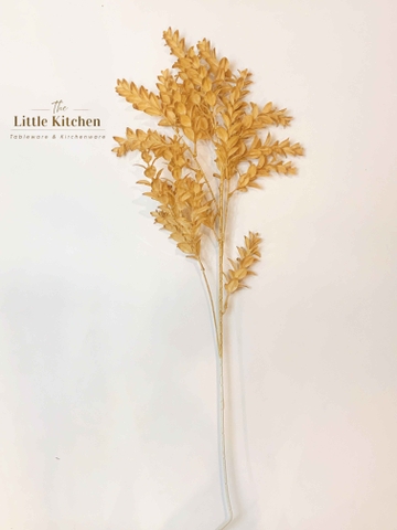 Cành lá nhỏ nâu