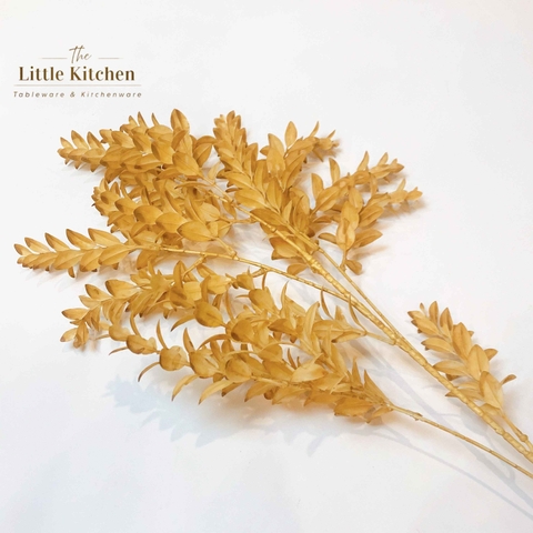 Cành lá nhỏ nâu