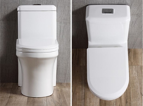 BỒN CẦU 1 KHỐI LANKA MÃ C8813