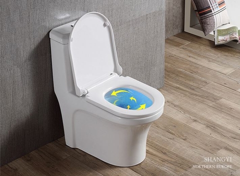 BỒN CẦU 1 KHỐI LANKA MÃ C8813