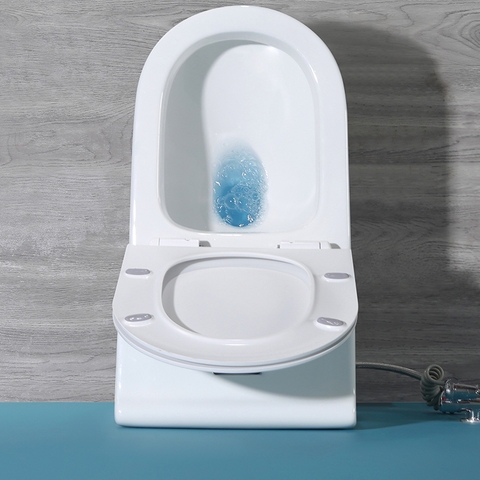 Bồn cầu khối Lanka xả xoắn ốc kết hợp xã đẩy mã AZ01