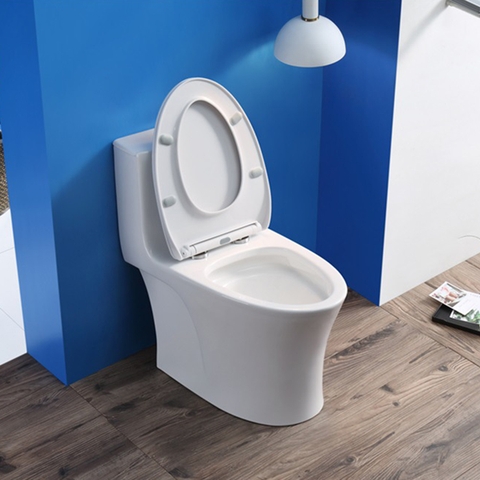 Bồn cầu khối xả xoáy mã C8845 LANKA