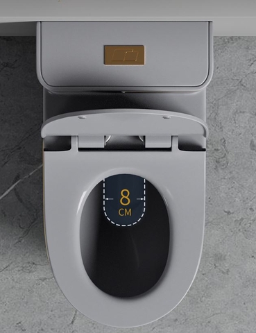 Bồn cầu khối Lanka xả xoáy mã C8872L [Xám Viền Vàng]