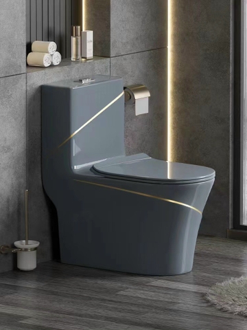 BỒN CẦU 1 KHỐI MÃ C8007E LANKA [Xám Viền Vàng]
