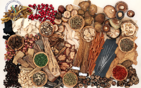 Chương Trình Học Y Học Cổ Truyền Có Những ưu Điểm Gì