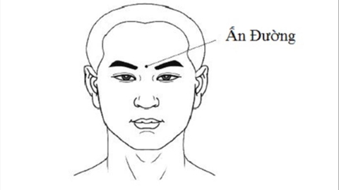 Các tác dụng của huyệt ấn đường trong y học cổ truyền và những lưu ý khi bấm huyệt